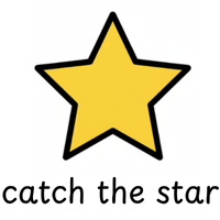 Catch Star Game