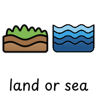 Land or Sea