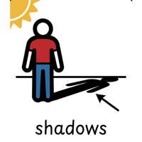 shadows